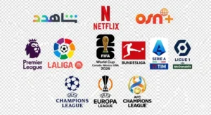 اشتراك فالكون الرسمي FALCON IPTV PRO مدة سنتين يعمل على جهازين بـ500 ﷼ falconiptv4k